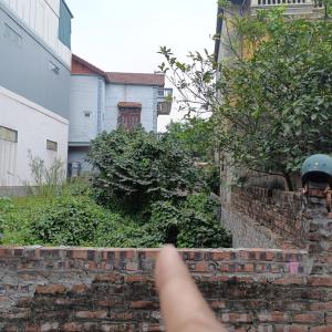 BÁN ĐẤT HẠ TRẠI CỰ KHỐI – 100m² thửa vuông – ô tô vào nhà – chỉ 7.9 tỷ